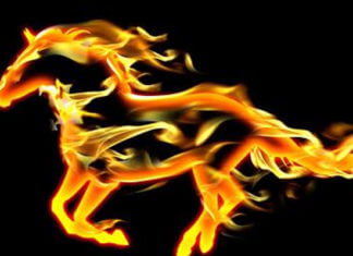 Innocents Must Die – Ashwamedha Yagna | Asto Ma Sadgamya – Take me from darkness to Truth