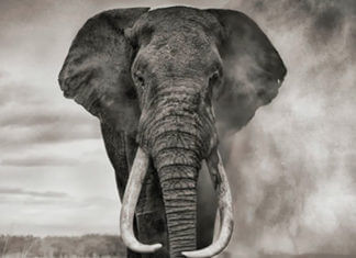 Your Deepest Desires Overrule You !