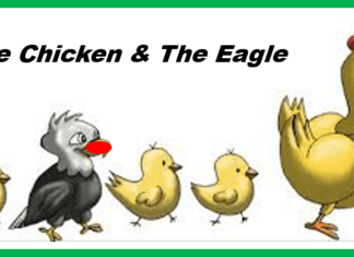 The Eagle & The Chicken -Realize Your Potential!