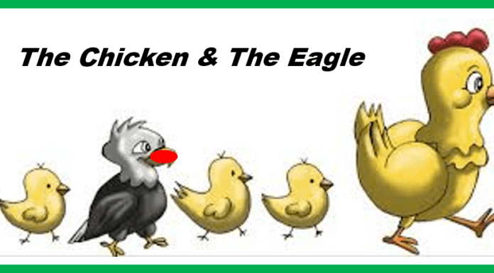 The Eagle & The Chicken -Realize Your Potential!
