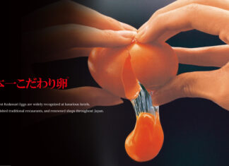 Kodawari – Path To Greatness kodawari