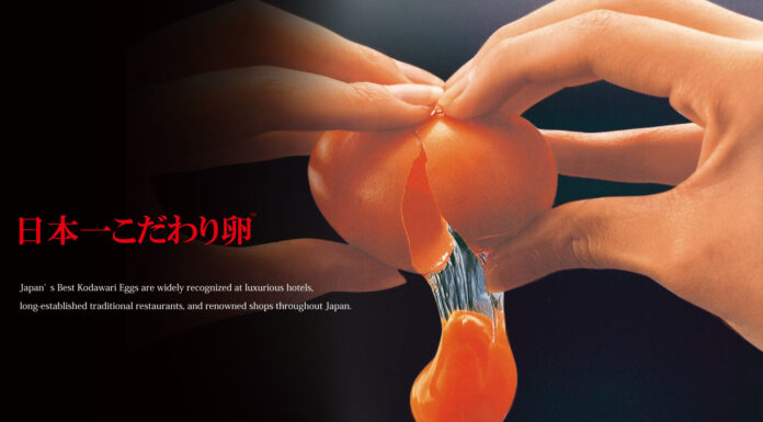 Kodawari – Path To Greatness kodawari